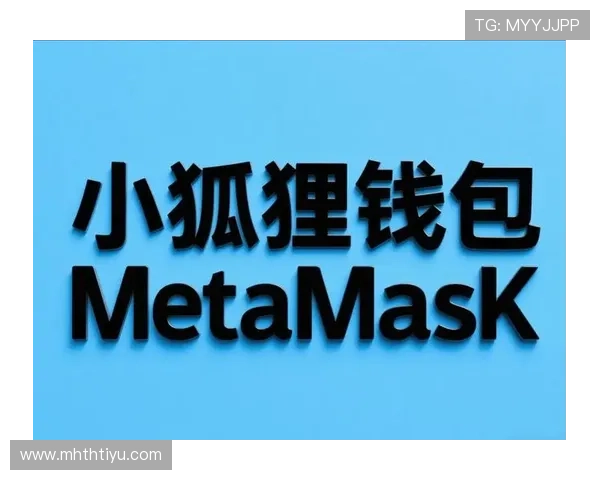 华体会app登入流程详解让新手玩家快速掌握登录步骤与常见问题解决方案